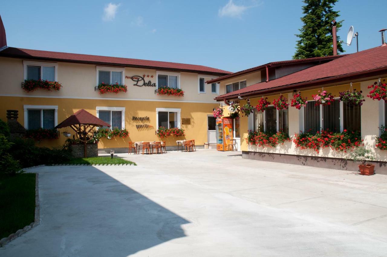 Pension Delia Gardens Timisoara Exterior photo